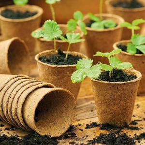 Produits de jardinage en fibres de coco naturelles, matériaux de plantation durables en coco coir pour l'hydroponie, le jardin de balcon et les plantes d'intérieur - Product Image 4