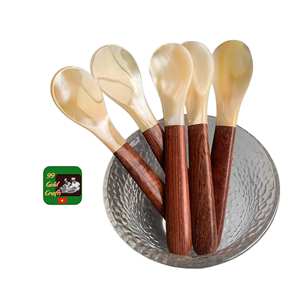 Fabricant de cuillères et fourchettes de luxe en nacre du Vietnam pour l'organisation sophistiquée de la vanité, articles d'artisanat en coquillages tendance - Product Image 3