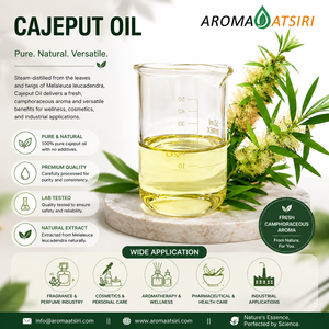 Aceite de Cajeput de Primera Calidad de Indonesia (Melaleuca cajuputi) - 100% Puro, Destilado al Vapor, Aroma Fresco - Product Image 4