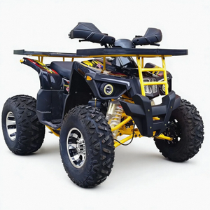 Quad Chithan DIY 200cc 4 temps pour adultes 2026, transmission automatique 2WD/4WD commutable, plastique, garantie 3 ans - Product Image 5