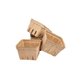 Fruit Packaging Eco-Friendly Anti Break Compostable Molded <b>Pulp</b> Tray Fresh Fruit Tray From Vietnam Manufacturer Paper Boxes - Product Image 5