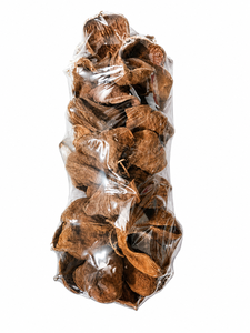 AQUA VRIKSHA Cápsulas de Loto Secas Naturales Premium para Acuarios, Peceras de Betta, Peceras de Camarones y Acuapaisajismo | 11-13 cm | Paquete de 10 - Product Image 1