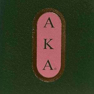 <b>Passport</b> Holder AKA <b>Passport</b> Holder Green Pink Travel Case Premium Leather Cover Greek Letter Travel Organizer Slim <b>Wallet</b> Style - Product Image 3