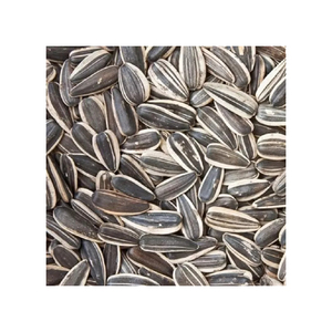 Graines de tournesol de qualité supérieure en gros à prix avantageux, non-OGM, biologiques, nourriture pour oiseaux, graines de tournesol noires - Product Image 3