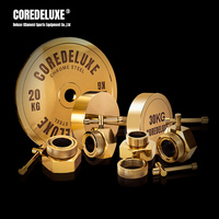 Coredeluxe Chrome Enduit Fonte Haltère Doré Haltère Ensemble Sports Gym Équipement