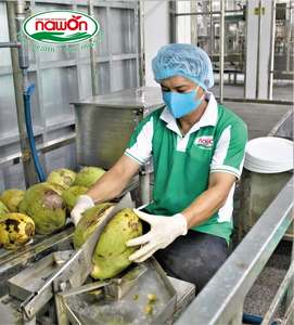 Bebida de Pistacho con Agua de Coco, Distribuidor Global de Bebidas, 320 ml, Bajo en Carbohidratos, 24 Latas por Caja - Product Image 3