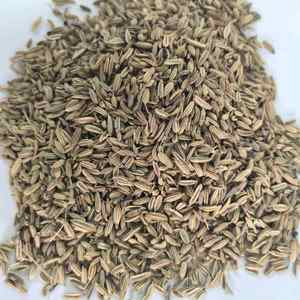 RAUTIMPEX INTERNATIONAL Caraway Seeds Bloating Digestion Relief-Natural 12 Month Shelf Life Made India Food Use Lighter Happier - Product Image 6
