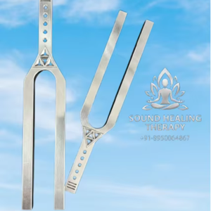 Compre un Juego de 2 Diapasones Gigantes de Acero Inoxidable con Relación de Frecuencia de 512 Hz - Product Image 1