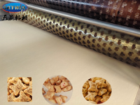 Machine de fabrication de biscuits durs à découpe rotative entièrement automatique pour fabricants de biscuits