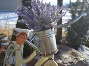 Galvanized Watering Can Premium Quality with Copper Finished Handle Perfect for Outdoor Use Durable Stylish <b>Garden</b> <b>Tool</b> - Product Image 2