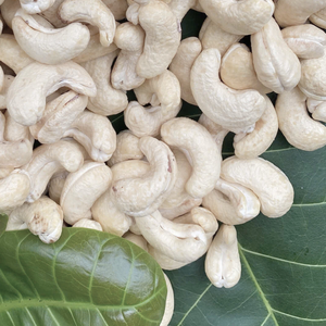 Offre Spéciale : Noix de cajou de qualité supérieure WW180, WW240, WW320, LP, Noix de cajou brutes W180, Emballage personnalisé disponible - Product Image 1