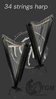 Large Size 36 Strings Lever Harp with Case & Tuning Key Elegant Vintage Style Floral Design Made Musical Instruments Harps