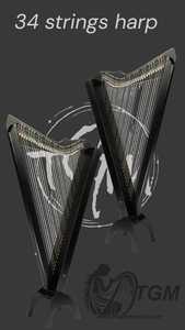 Large Size 36 Strings Lever Harp with Case & Tuning Key Elegant Vintage Style Floral Design Made <b>Musical</b> <b>Instruments</b> Harps - Product Image 1