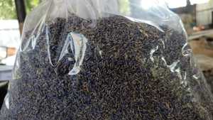 Flores de Lavanda Secas de Alta Calidad, Flores Botánicas Naturales Enteras, Ingredientes Herbales Probados en Laboratorio para Aromaterapia - Product Image 3