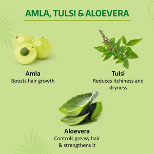 Champú hidratante a base de hierbas, fórmula sin sulfatos con aloe vera, tulsi y amla, diseñado para el control de la sequedad y cuidado del cuero cabelludo, tamaño 180 ml. - Product Image 4
