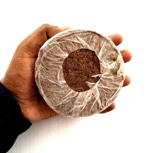 Pastilles de démarrage de semis bio sans terre : Plaquettes/disques de coco pour le jardinage domestique du premier exportateur indien GEEWIN EXIM - Product Image 1