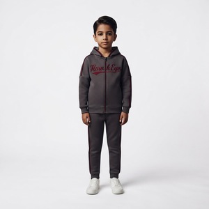 Ensembles de survêtements sportifs à capuche imprimés unis, respirants et légers en polyester/coton, grandes tailles, personnalisables OEM Hawk Eye Sports - Product Image 1