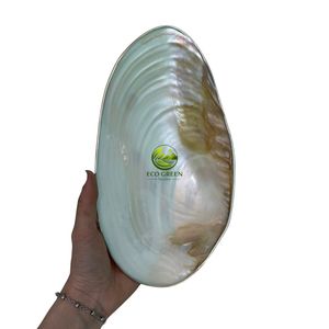 Assiette en coquille d'huître naturelle, fait main, plat de service en coquille de perle pour la décoration de maison de style côtier - Product Image 2
