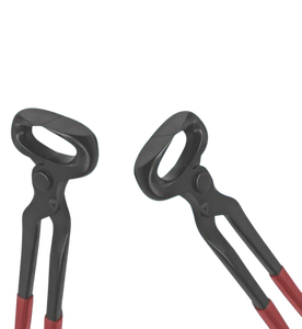 Pince à sabots en acier inoxydable de qualité supérieure, outil de fermeur, soin des sabots, meilleures pratiques, instrument vétérinaire certifié CE - Product Image 3