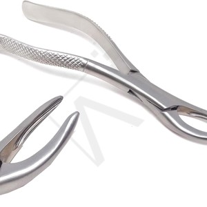 Pinzas Dentales para Extracción de Molares, Acero Inoxidable Quirúrgico, Herramientas Dentales Reutilizables - Product Image 1