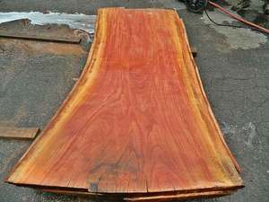 Pâte mécanique de bois d'eucalyptus vierge scié, origine Brésil, approvisionnement en vrac - Product Image 3