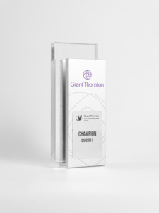Trofeo Rectangular Plateado en Plata, Grabado, Premio Deportivo de la División A, Regalo Empresarial, Trofeo de Golf de Acero Inoxidable Sólido - Product Image 2