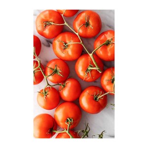 Tomates Frescos de Alta Calidad para Compras al por Mayor, Procesamiento de Alimentos, Suministro Minorista y Compradores Comerciales - Product Image 2