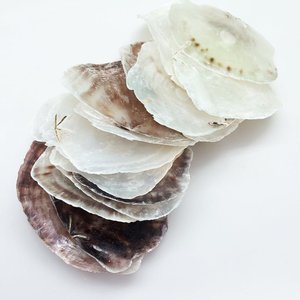Coquilles de Capiz à bon prix, en vente, disques de coquillages ronds et plats, fourniture directe d'usine, coquillages naturels. - Product Image 1