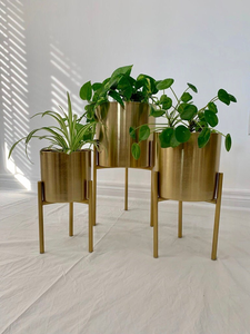 Soporte de Metal Dorado para Macetas, Moderno Soporte para Plantas de Interior, Acabado Dorado Decorativo, Exhibidor de Macetas para Sala de Estar, Dormitorio, Oficina - Product Image 3