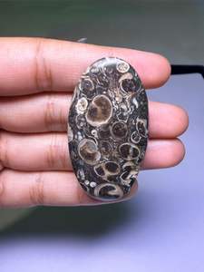 Lote al por mayor de cabujones de ágata TURRITELLA por peso con diferentes formas y tamaños utilizados para la fabricación de joyas, piedra TURRITELLA - Product Image 2