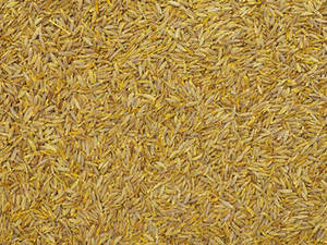 เมล็ดยี่หร่าอินเดียพรีเมียม ฤดูกาลใหม่ ยี่หร่าเม็ดเต็ม อบแห้งตามธรรมชาติ เครื่องเทศหอม รูปทรงยาว อายุการเก็บรักษา 24 เดือน สำหรับขายส่งจำนวนมาก - Product Image 6