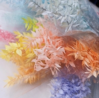 Feuilles d'eucalyptus préservées de haute qualité, feuilles naturelles séchées de Ruscus italien pour mariage, fête des Mères, remise de diplôme, décoration intérieure
