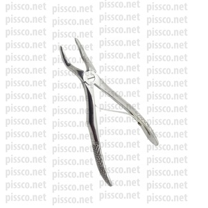 Fórceps dentales de raíz superior de alta calidad, fórceps de extracción universales, fórceps de incisivos, Instrumentos dentales de acero inoxidable - Product Image 5