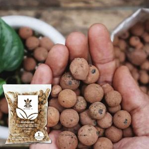 Piedras de Arcilla Expandida de Alta Calidad 2L LECA, Medio de Cultivo Ligero para Plantas Hidropónicas y Acuapónicas - Product Image 3