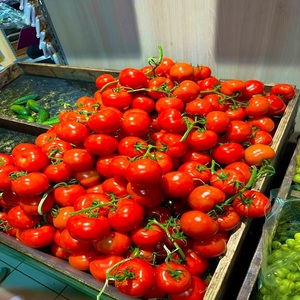 Tomates Frescos Naturales 10 kg Selección a Granel Ingrediente para la Industria Alimentaria 100% Maduros Almacenamiento en Frío y Seco Vida Útil de 2 Años - Product Image 1