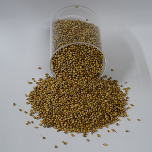 เมล็ดผงยี่หร่าเกรดอาหารจากอินเดีย ผลิตจากกูร์กาฏ์ น้ำหนัก 1 กิโลกรัม สำหรับตลาดขายส่งทั่วโลก - Product Image 3