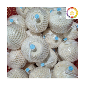 Noix de coco fraîche |   Coque entière |   Eau douce |   Idéal pour les stations estivales et les cafés de plage |   Fournisseur Vietnamien - Product Image 3