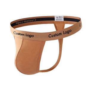 OEM 2026 Ropa Interior Masculina Barata de Tiro Bajo, Sexy, Tipo Bikini y Tanga para Hombres - Product Image 1