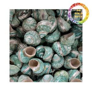 Anillo para Servilletas de Concha de Caracol Pulida de Alta Calidad para Decoración de Mesa - Product Image 2