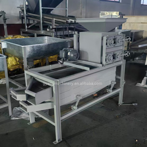Machine à décortiquer les amandes de 300-500 kg/heure, grande capacité, pour casser les noyaux et séparer les coques, avec services de vente - Product Image 4