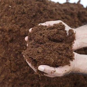 Cocopeat naturel riche en nutriments pour la culture hydroponique, le jardinage et l'aménagement paysager Milieu de culture durable et écologique - Product Image 1