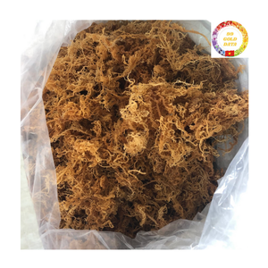 Mousse de mer séchée |   Algues Marines Biologiques Premium |   Eucheuma Cottonii doré |   Fournisseur en gros pour l'exportation - Product Image 5