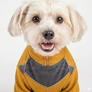 Conjunto Deportivo Elegante y Cómodo para Mascotas, Ropa Deportiva de Tela Suave, Adorable, Bajo MOQ - Product Image 2