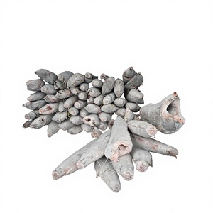 Chun Cheng fishery บรรจุภัณฑ์ในบรรจุภัณฑ์สุญญากาศลายทางทั้งมาร์ลิน dwt แช่แข็ง - Product Image 1