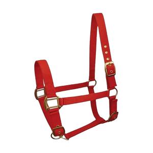 Vente en gros Top Qualité Designer Rembourré Cheval Nylon Halter à vendre - Product Image 1
