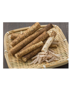 RAÍZ DE ALDERA SECADA NATURAL DE CALIDAD PREMIUM PARA EXPORTACIÓN - Product Image 1