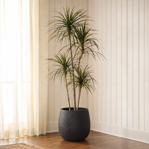 Juego de 4 Macetas Redondas de Fibra de Vidrio con Aspecto de Piedra Negra, Resistentes a la Intemperie, para Jardín o Piscina, de 20-53 cm - Product Image 6
