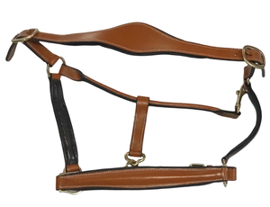 Collarín de PVC personalizado para caballo con herrajes de latón macizo, venta al por mayor, collarín de cuero y PVC para equitación - Product Image 5