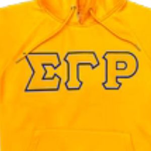 Sigma Gamma Rho Gold <b>Hoodie</b> SGRho Premium Blue Gold Greek Apparel Stylish Sorority Sweatshirt - Product Image 2