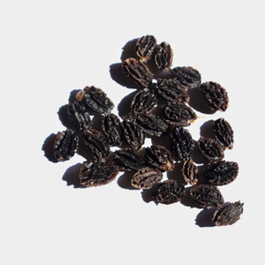 Graines de papaye séchées, fournisseur vietnamien, prix bas, qualité supérieure, graines comestibles séchées au soleil. - Product Image 3